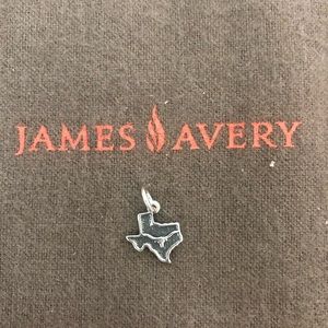 Longhorn in Texas Charm